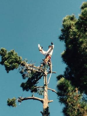 Emergency tree removal no problem. Jose Lopez and sons can take care of any tree problems at anytime.