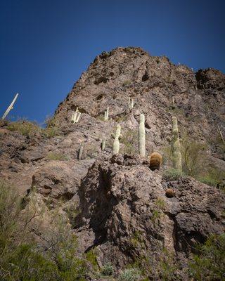 Picacho Peak State Park