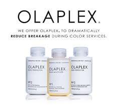 We're in love with Olaplex!  Ask us all about it!