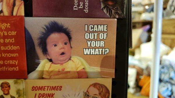 WAY TOO FUNNY! I should have bought this magnet!