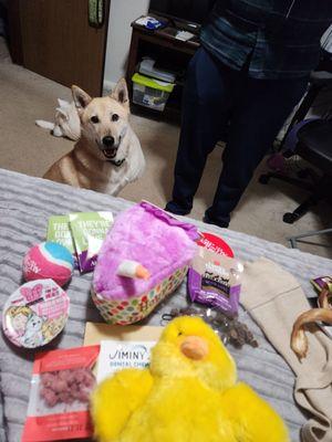 Link loving his birthday goodie bag and other gifts we got him!