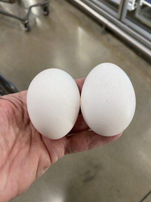 Left egg is X-large. Right egg is large. They look to be the same size to me.