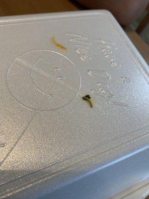 A caterpillar or maggot in my pho. Seen after taking a couple bites.