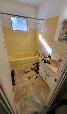 Bathroom remodel before picture