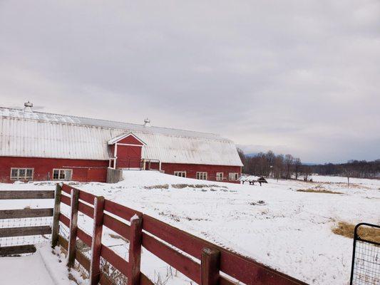 Winter scene