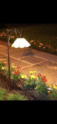 Beautiful landscape lighting