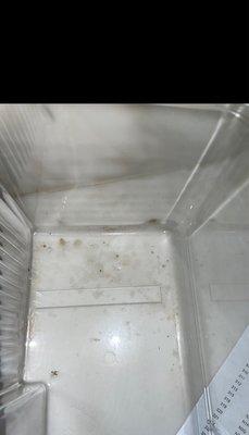 Mold in fridge