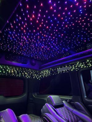 Alcantara Suede Starlight Headliner 
 2021 Mercedes-Benz Matrix