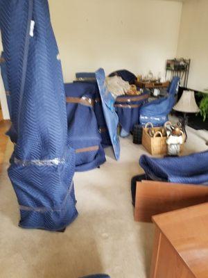 Apartment move in Morristown NJ