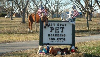 Camp Sit Stay Pet Boarding