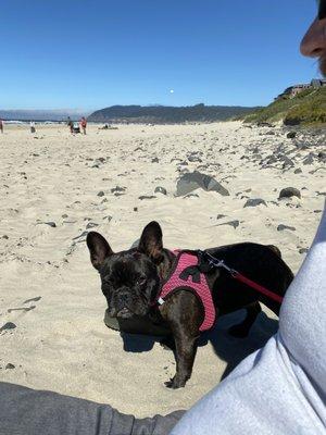 Karen at the beach