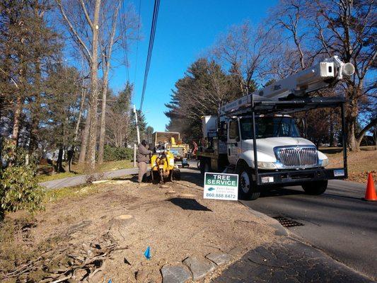 Stump grinding after a tree remove on the road