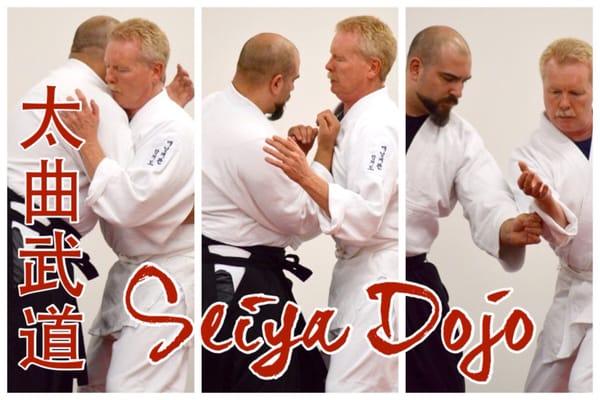 Jujutsu, Aikido, Kempo