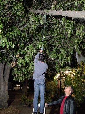 Downed tree removal!