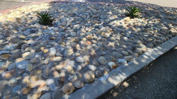 Closeup of cemented stones.