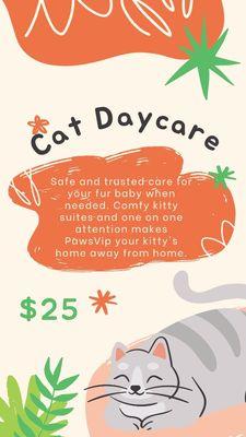 Kitty day care is only $25!