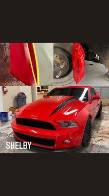 Shelby front end repair and hood design, full paint correction, caliper color match