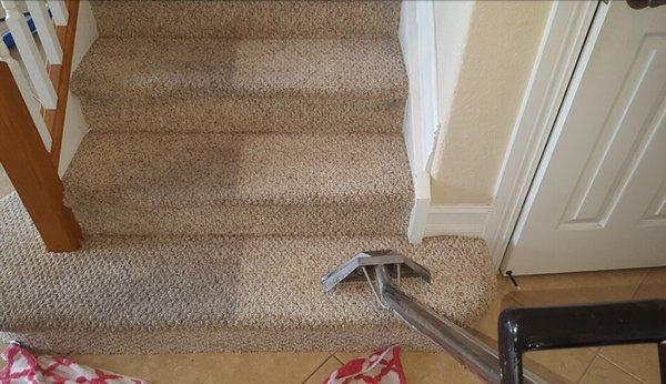 You might not realize how dirty your carpets are until they get cleaned.