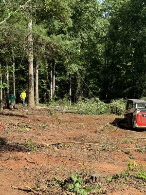 Chico landscaping