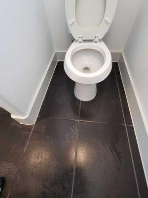 spotless toilet after move out cleaning