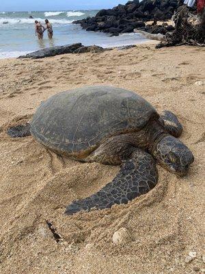 Paia Beach