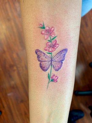 Butterfly on cherry blossoms