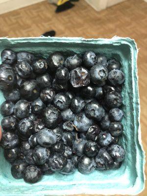 Rotten blueberries