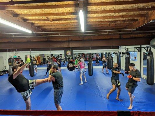 Muay Thai - Beginners