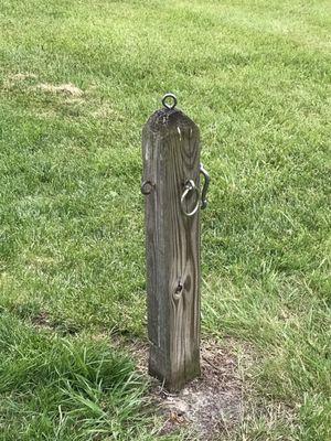 Hitching post for dogs by outside picnic tables.