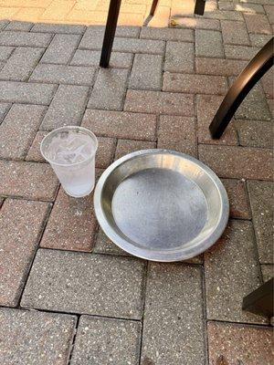 Water dish for the pups.