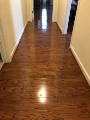 Hardwood Floor deep cleaning