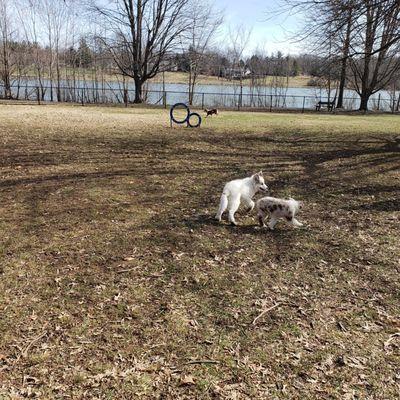 Freeman Lake Dog Park