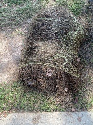 Awful pine straw I bought from Home Depot