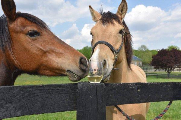 Wine is best enjoyed together!