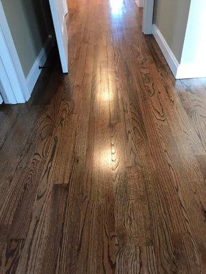 Sand & Stain hard wood floor