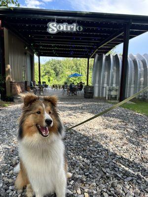 Entrance to the brewery/winery