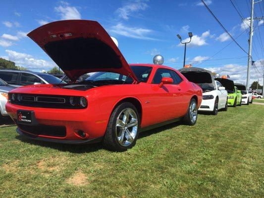 Out front are our Nicest and Fastest Cars. Some of these include: Dodge Challengers and Chargers, Mustangs,  Chevy Corvettes and Camaros!