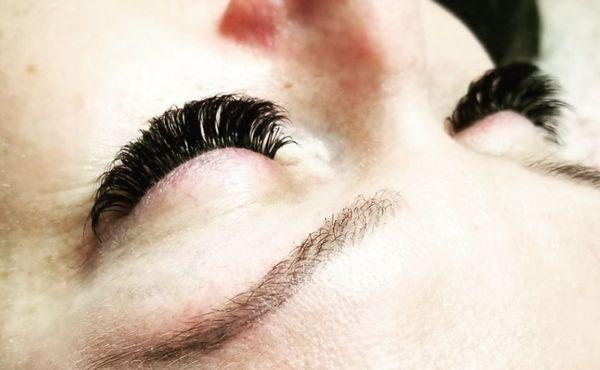 Mega Volume LASHES