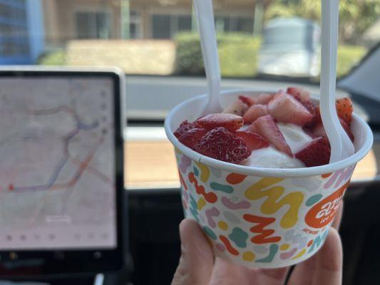 Vegan pistachio ice cream with fresh strawberries