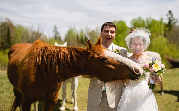 Bride and Groom with a hungry horse!