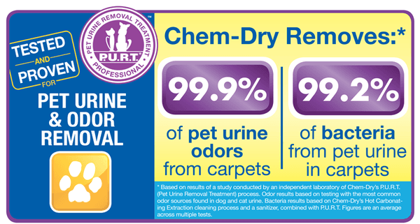 Pet Odor Removal Study