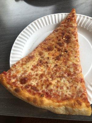 Plain pizza. Delicious