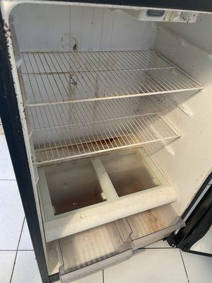 Inside fridge cleaning