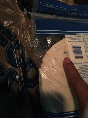 Mold on the tortillas, so nasty!