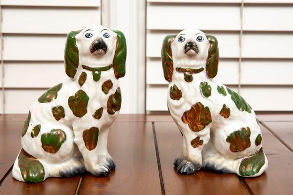 Staffordshire Spaniels