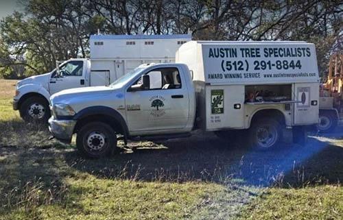 Austin Tree Specialists