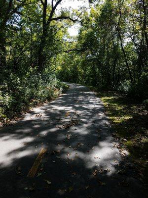 Paved wooded trails