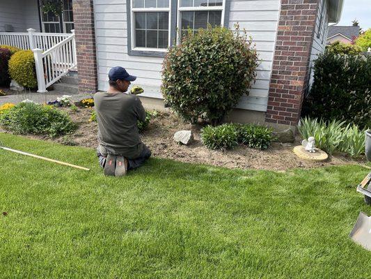 Cleaning up to add fresh top soil