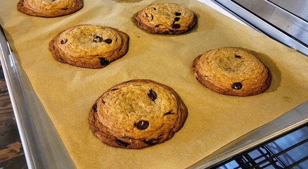 Chocolate chip cookies, made in house. They're huge, buttery and delicious.