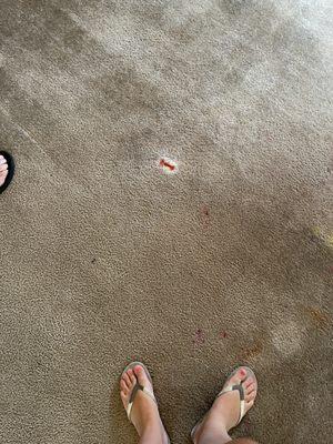 Blood stained carpet